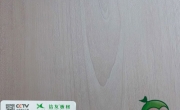 板的發(fā)展趨勢(shì)