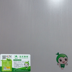 南昌藍(lán)光蝶影